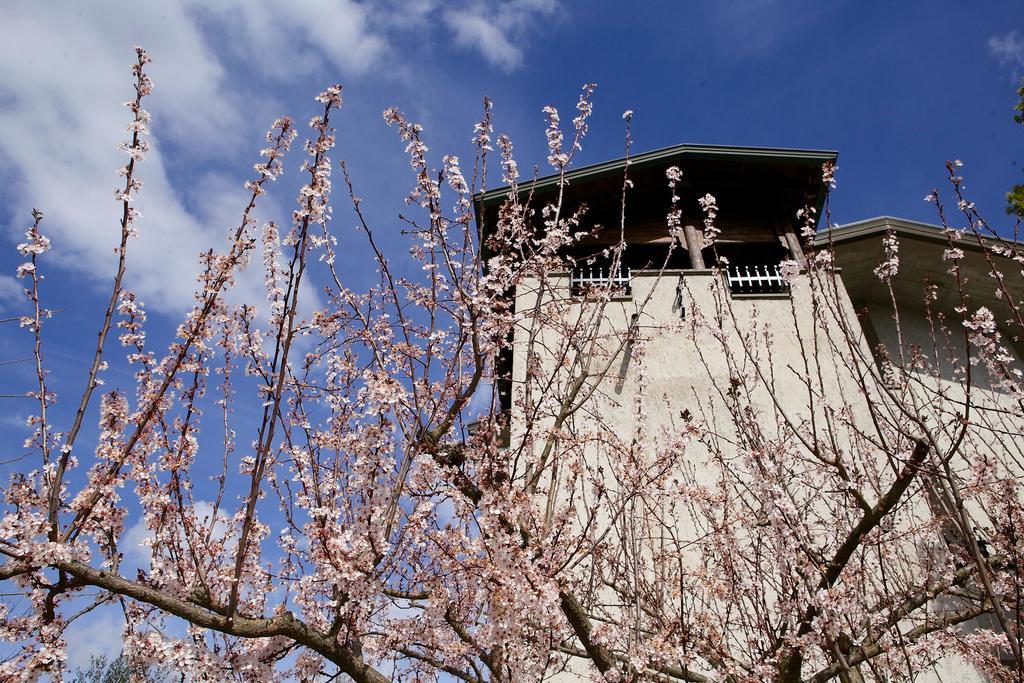 Torretta D'Assisi Bed & Breakfast Tordandrea Ngoại thất bức ảnh